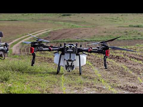Spraying First Pass With Three Drones! | XAG P100, DJI T50 & T40