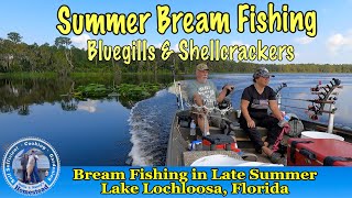 Summertime Bream Fishing on Lake Lochloosa, Florida