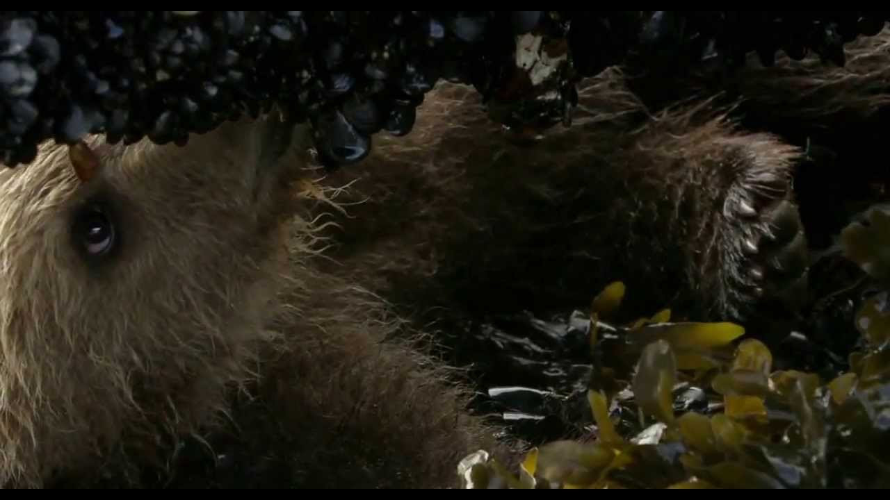 Ursos Imagem do trailer