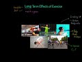 Long-Term Effects of Exercise