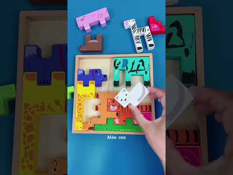 Câc bạn chỗ ngủ đó của ai không?