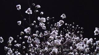𝐏𝐥𝐚𝐲𝐥𝐢𝐬𝐭 | 좀 더 걸을까 청아한 밤을 따라