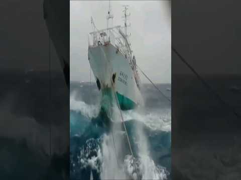 how do ships stop without brakes 😳😱 #ship #shorts #oneminuteknowedge