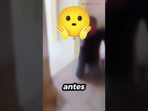 Esse cachorro cresceu… e se tornou um pesadelo! 🐶💀