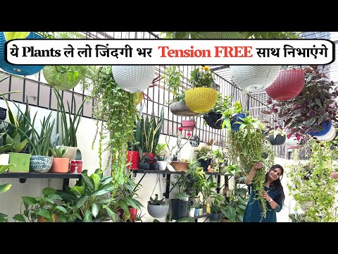 ये Plants ले लो जिंदगी भर Tension FREE साथ निभाएंगे ये - सबसे भरोसेमंद Plants कम कीमत में