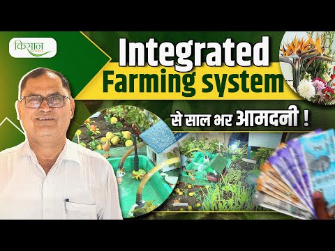 Integrated Farming Model | एकीकृत कृषि का सफ़ल मॉडल बता रहे Dr. P.C Jat | IFS Model