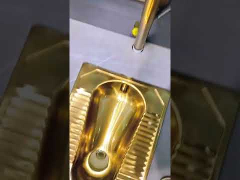 The Luxurious Gold Toilet #shorts