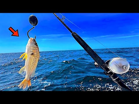 Dropped a LIVE! CROAKER 100' Deep for My Dinner! [Catch, Clean, Cook]