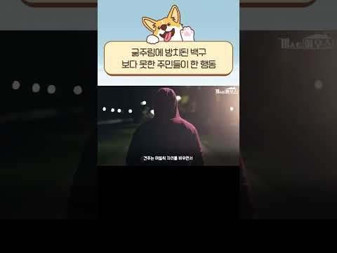 "살려주세요ㅠ" 굶주림에 방치된 백구...보다 못한 주민들이 한 행동 #Shorts