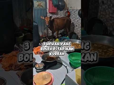 3 Hewan kurban selain Sapi dan Kambing #iduladha2026 #kurban
