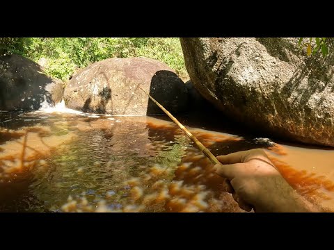 Achei um poço secreto no meio do mato é na primeira jogada tive uma surpresa, Pescaria