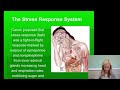 Exploring the Stress Response System in AP Psychology