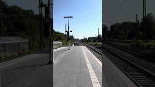 Umgestürzter Baum auf der Strecke | 15.07.2025 | 4K Hochformat