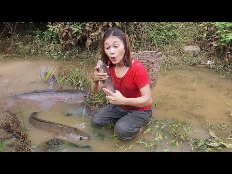 Survival in the forest, Catch and cook big fish, Cooking fish for survival food