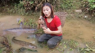 Survival in the forest, Catch and cook big fish, Cooking fish for survival food