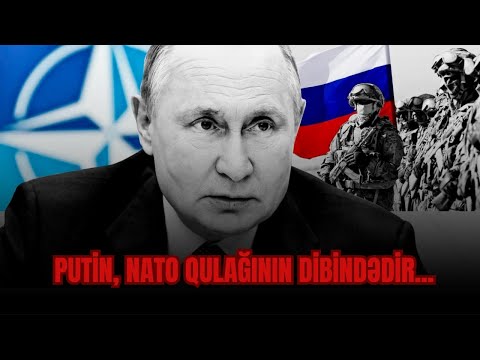 Kamran Həsənli:"Putin, NATO qulağının dibindədir..."