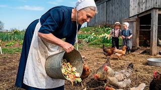 How Amish Raise Chickens For Almost Nothing — The Complete Beginner's Guide