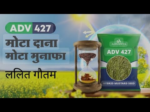 ADV426 MUSTARD FIELD VISIT