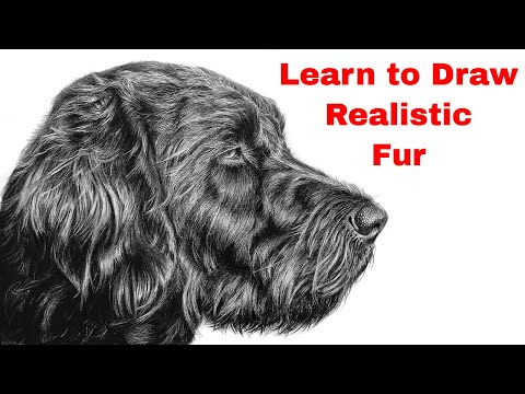 Learn to Draw Realistic Looking Fur