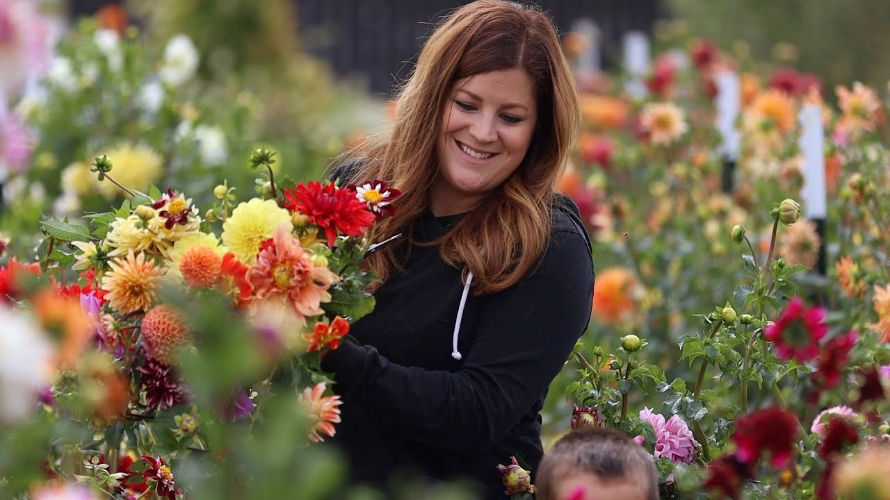 Making a Bright & Bold Arrangement from the Cut Flower Garden!