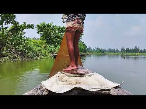 Most Popular Cast Net Fishing in Village River - Net Fishing With Beautiful Boat Natural (Part-50)