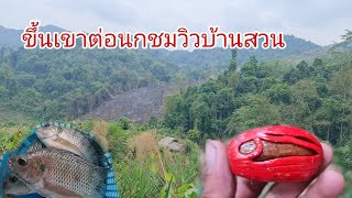 ต่อนก,จับปลาอยู่บ้านสวนคนเดียว[อาข่าน้อย]