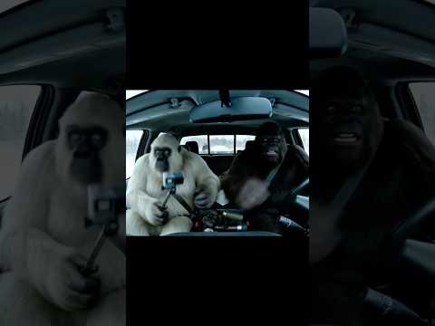 Yeti and Bigfoot Steal Rangers Truck #ai #bigfootvlog #veo3 #yeti #yetivlog #bigfoot