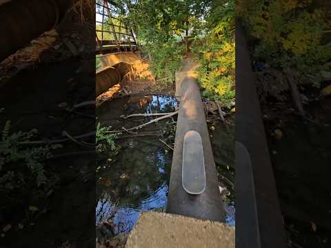 Heroic Skater Saves A Life #skateboarding #skate #skating #skater #skateboard