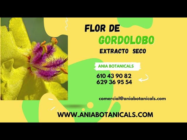 Video de empresa de Ania Botanicals