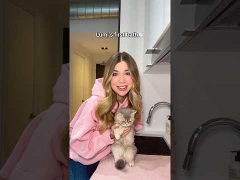 MY CATS FIRST BATH🛁