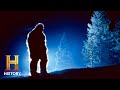 Skunk Ape and Bigfoot Insights