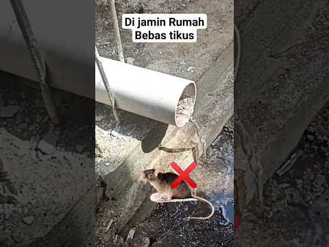 ideas for making dirty water pipe covers at home #short #tutorial #idea