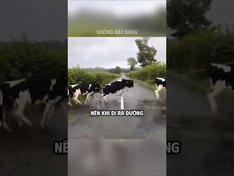 Thì ra câu nói đó là sự thật