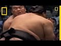 Sumo Wrestling: Tradition and Techniques