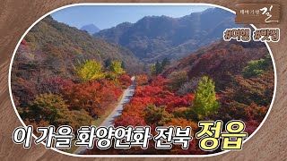[테마기행 길] 이 가을, 화양연화 #전북 정읍 | MBC경남 221111 방송 다시보기