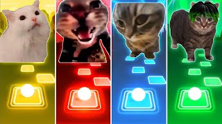 Astronomia Cat Vs Doorbell Cat Vs Chipi Chipi Chapa Chapa Cat Vs Oiiaoiia Cat - Tiles Hop EDM Rush