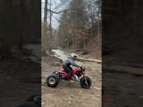 Otis gives Crazy Horse a try on ATC250r! #wellsville #ohio #freeride #hillkillers