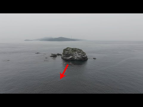 激流の走る無人岩礁群へ上陸。海藻だらけの磯は化け物の巣になっていた・・・。【日本一周九州編】