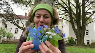 Beltane/Botschaft der Elfen