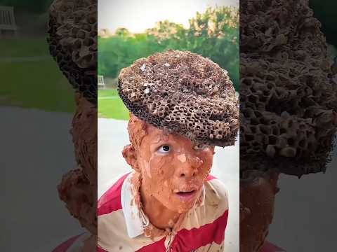 "Alex's Stupid Idea break Everything~mini wood toy-woodworking art skill/wood hand #shorts