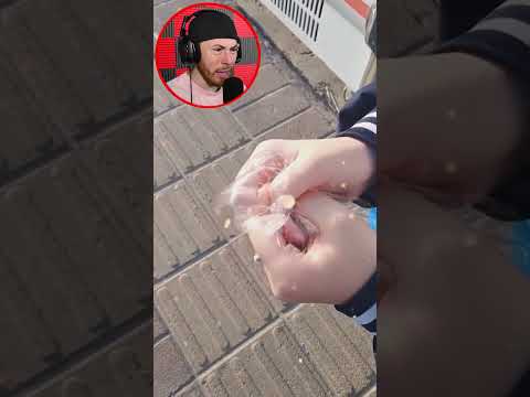 ODDLY SATISFYING Videos To Help you RELAX! #Shorts