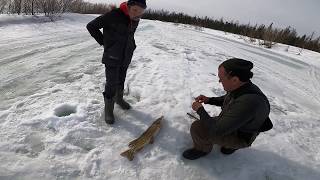 видео