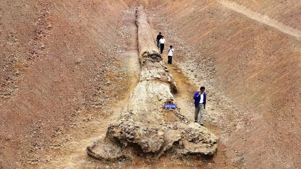 12 Most Incredible Archaeological Finds