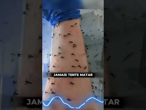 TRUQUE CONTRA MOSQUITOS!!!! #shorts #incrivel #curioso #viral