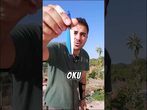 Ucuz vs Pahalı Yay Testi #reklam #sagoron