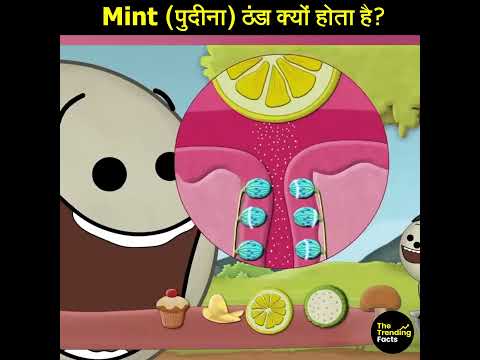 Mint (पुदीना) ठंडा क्यों होता है? #thetrendingfacts #facts #shorts