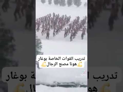 تدريب القوات الخاصه في بوغار استعراض القوات الخاصه الجزائرية استعراض الجيش الجزائري #shortvideo