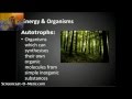 Ecological Concepts and Energy Flow