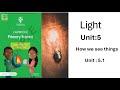 Understanding Light and Vision Concepts