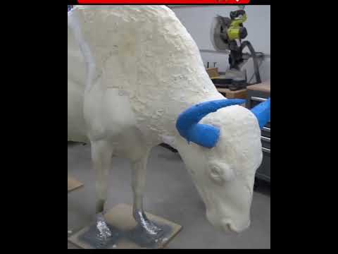 this person is making a amaging bull 🐂 Shorts viral